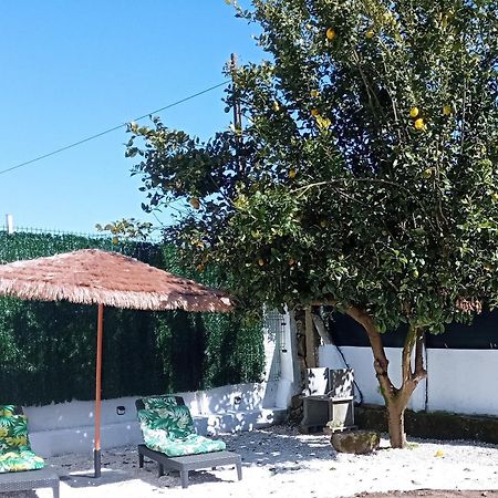 帕德隆Casa Amelia 1ªp A 50 M Camino De Santiago别墅 外观 照片