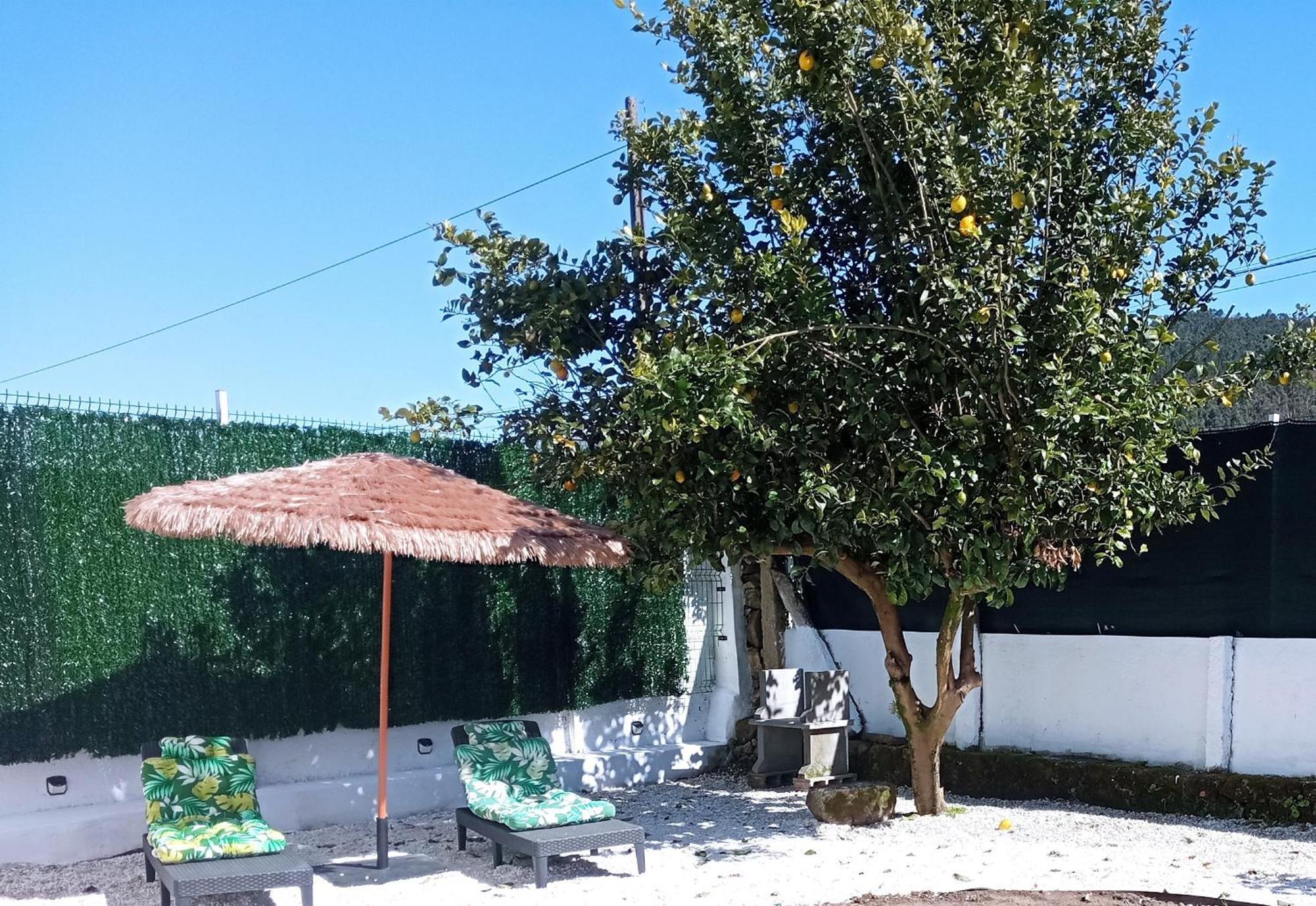 帕德隆Casa Amelia 1ªp A 50 M Camino De Santiago别墅 外观 照片